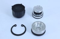 Jogo de reparo da válvula de exaustão brex