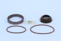 Reparo cilindro reduzida iveco stralis rda