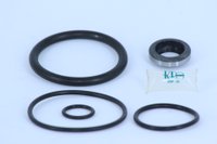 Reparo do cilindro da reduzida scania rda