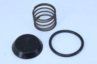 Reparo da válvula descarga rápida rda