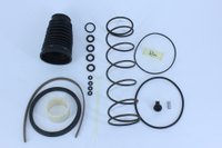 Reparo do atuador hidráulico rda