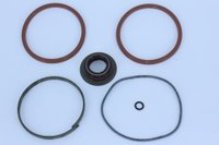 Reparo do cilindro de transferência caixa zf corteco