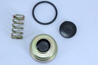 Reparo engate mão amigo automático caprigem