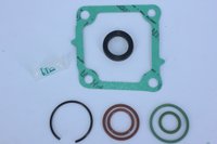 Reparo para cilindro trambulador do câmbio rda