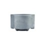 Caneco da Reduzida do Scania 124 FARJ