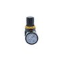 Regulador de Pressão 1/4" BSP de 0 à 10 Bar