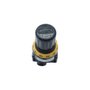 Regulador de Pressão 1/4" BSP de 0 à 10 Bar