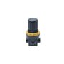 Regulador de Pressão 1/4" BSP de 0 à 10 Bar