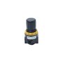 Regulador de Pressão 1/4" BSP de 0 à 10 Bar
