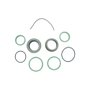 Reparo do Cilindro Split da Caixa ZF-AS Tronic Parcial